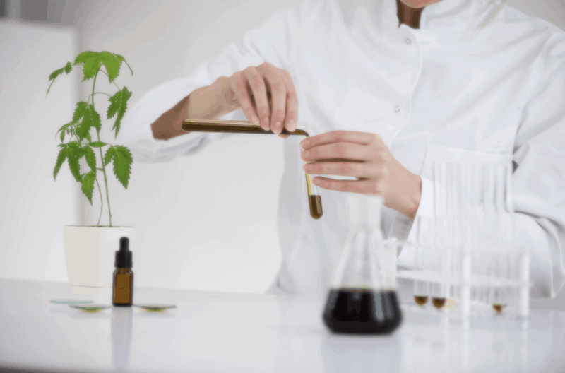 Herstellung von Cannabisöl