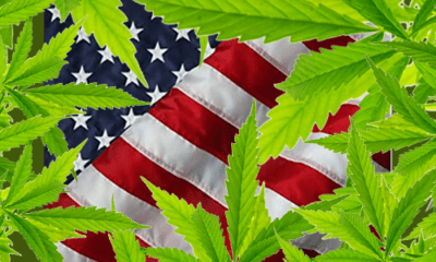 Cannabis-Umsatz in den USA steigt in Corona-Krise exorbitant an