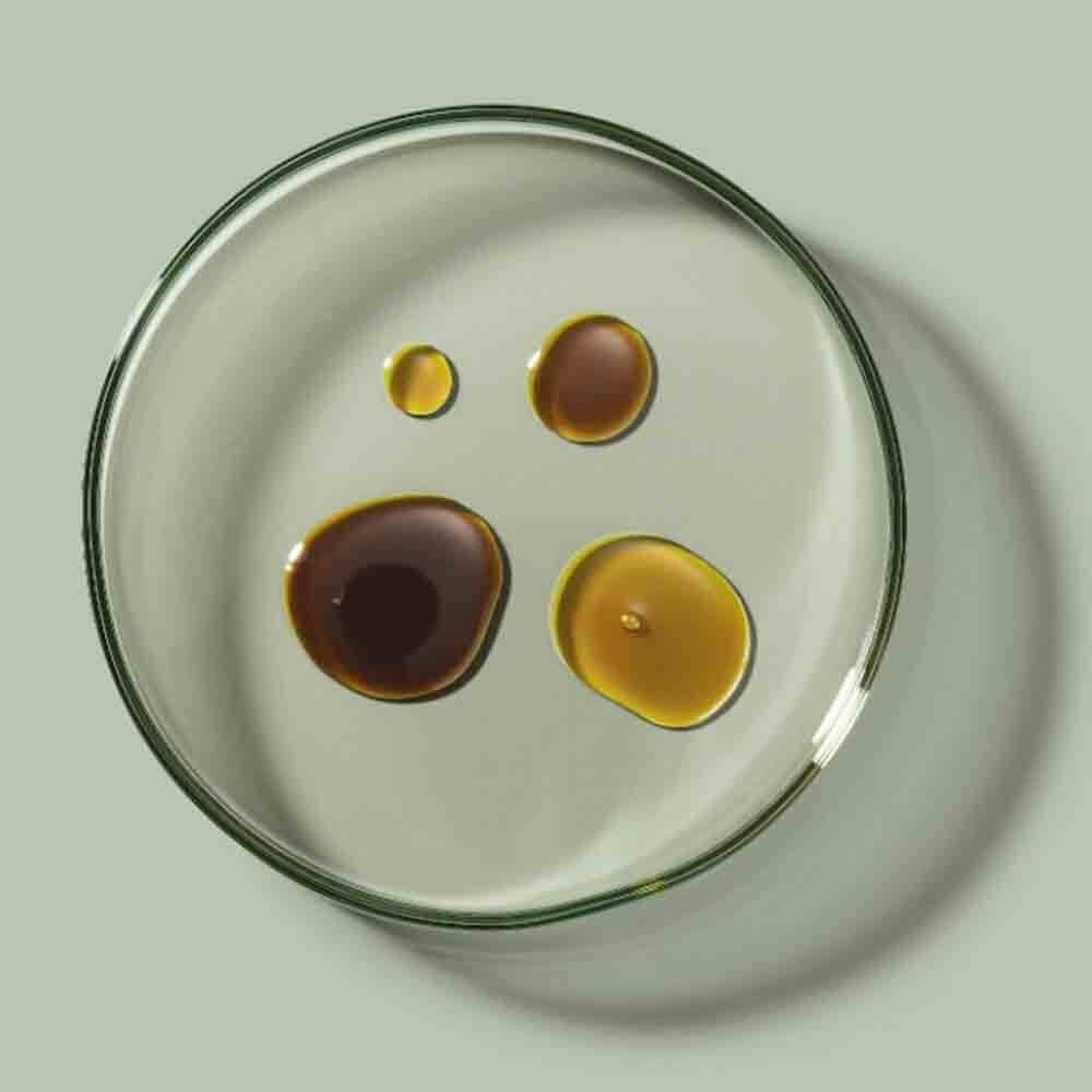 Biobloom Vollspektrum Bio CBD Öl Tropfen