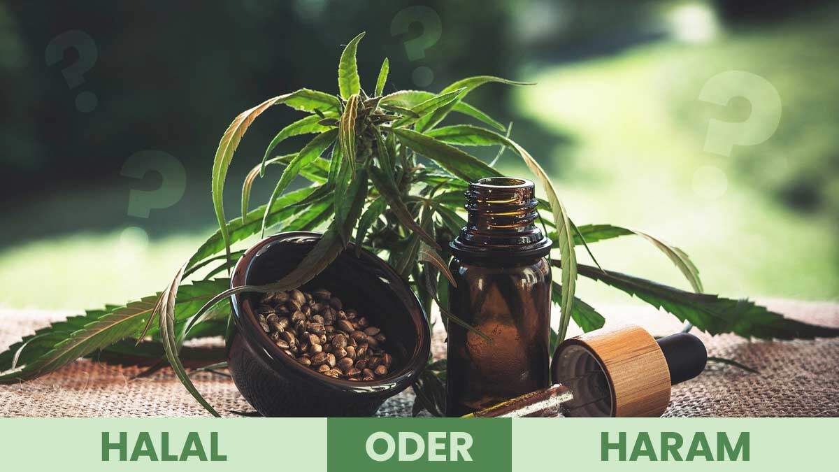 Hanföl mit CBD erlaubt