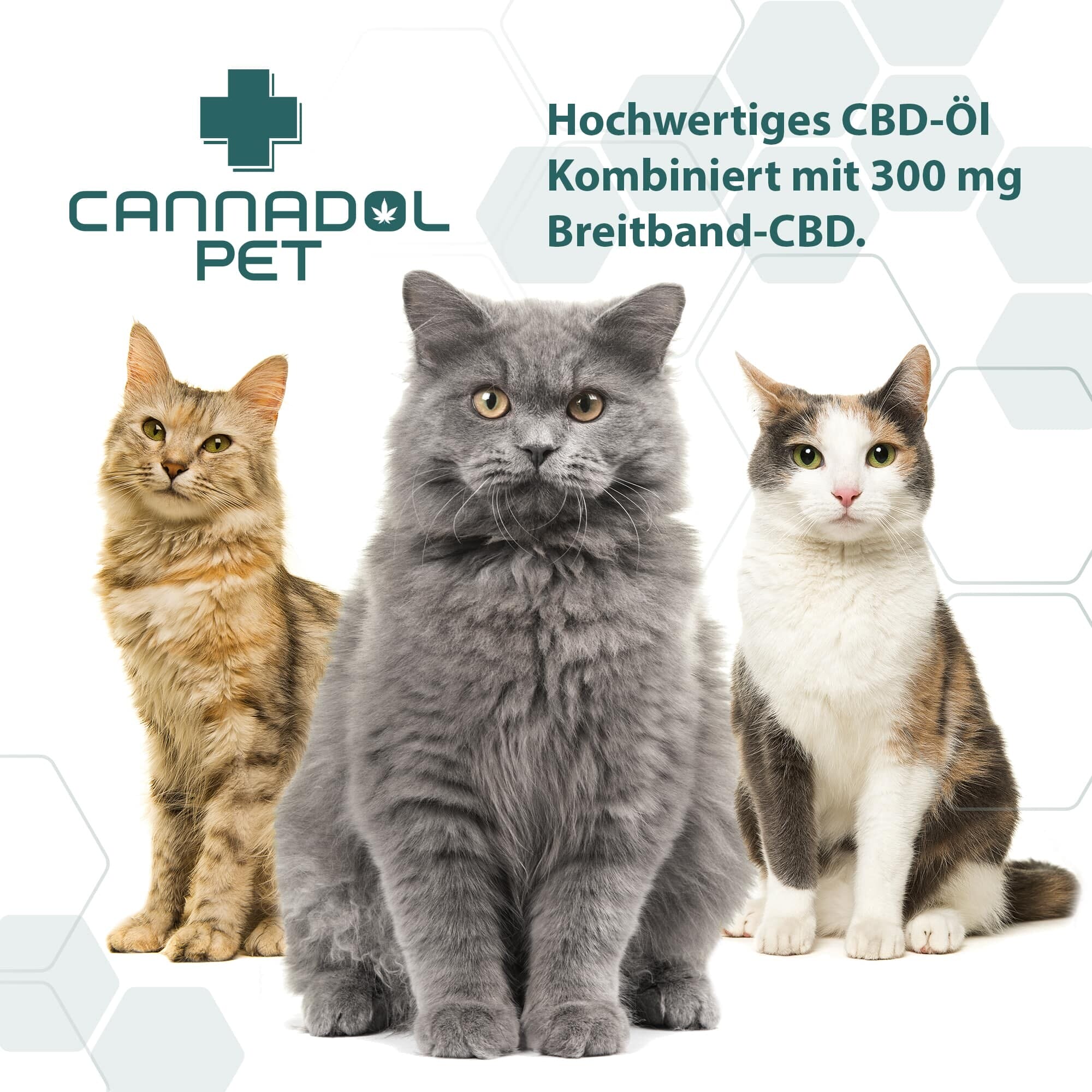 3 für 2 Cannadol Katze – Bild 5