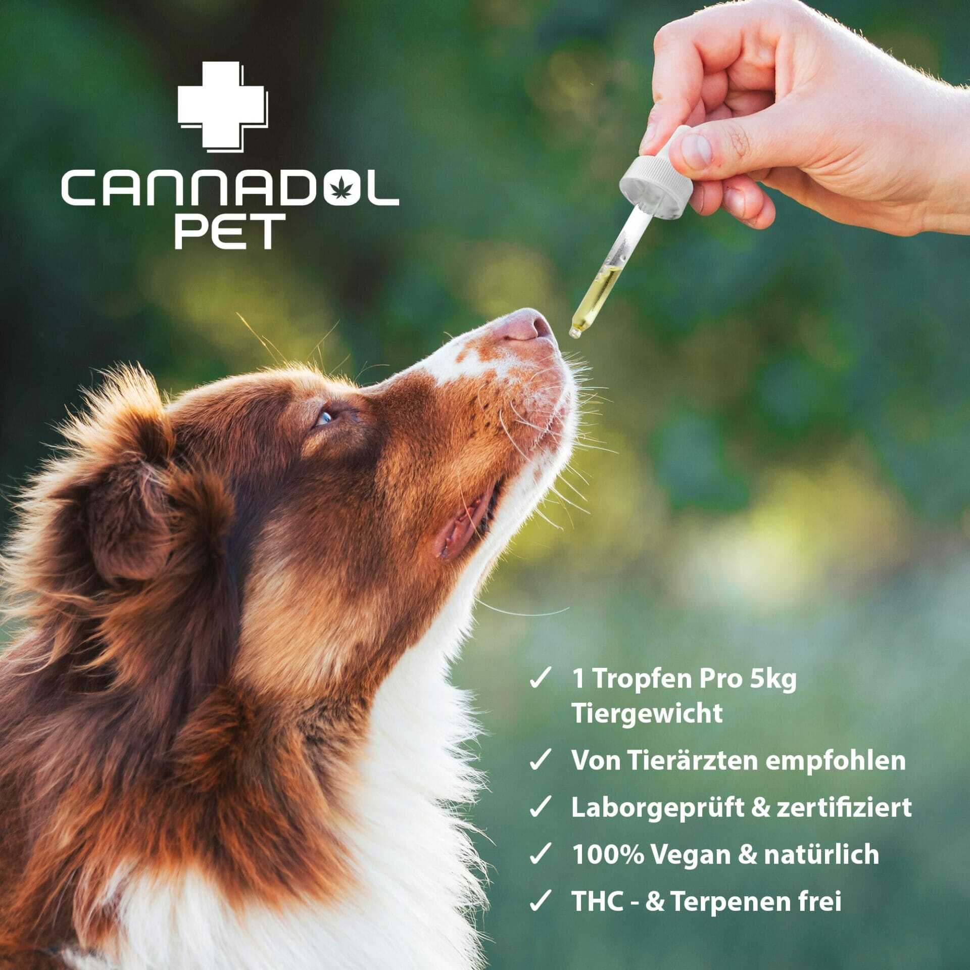 Cannadol Pet 10% Premium CBD Öl für Hunde – Bild 4