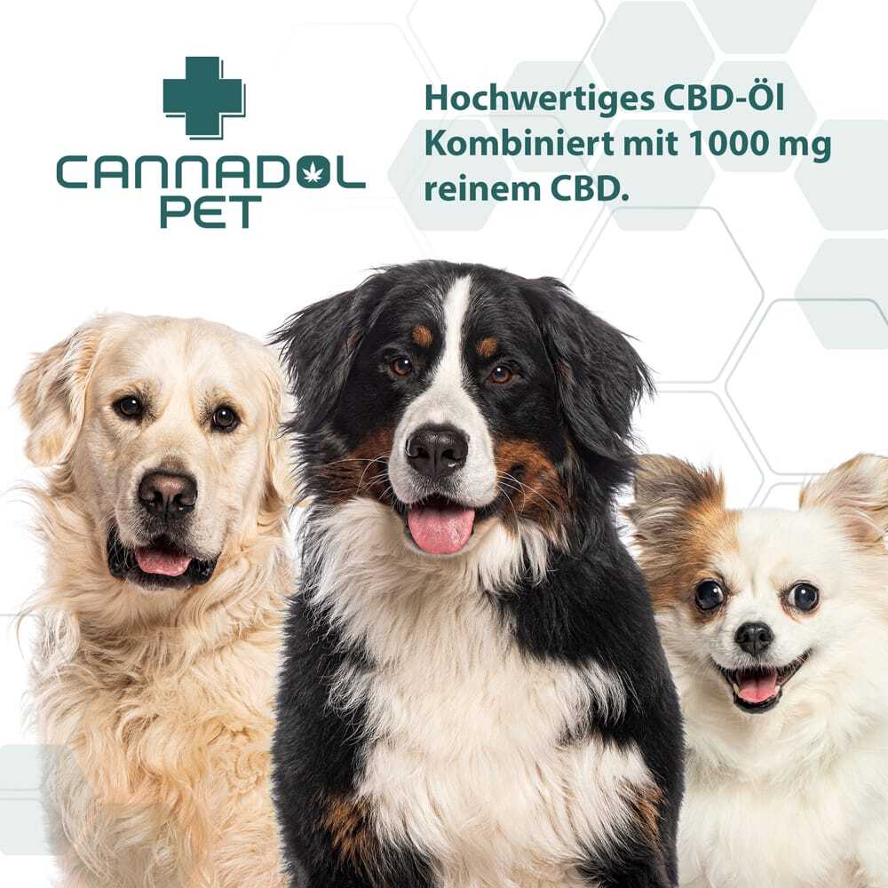 Cannadol Pet 10% Premium CBD Öl für Hunde – Bild 6