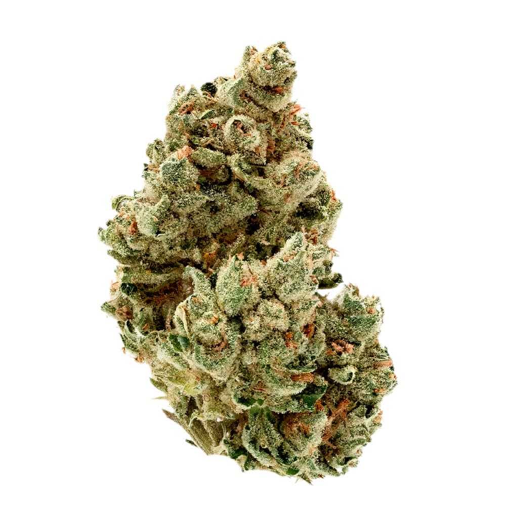 Super Lemon Haze - CBD Blüten 1g / 3g – Bild 3